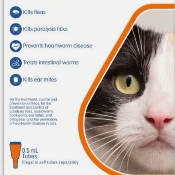 Revolution Plus Medium Cat 2.6-5Kg-5.6-11 lbs 6 Doses - Picture 2 of 2